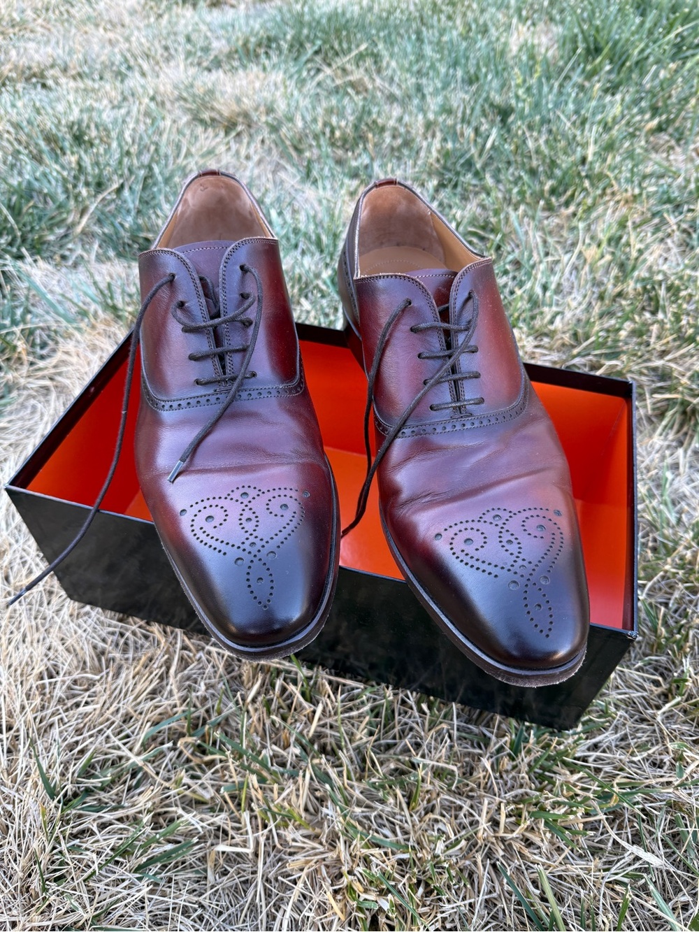 Magnanni Manolo Medallion Cognac Men's Brown Leather Dress Oxfords